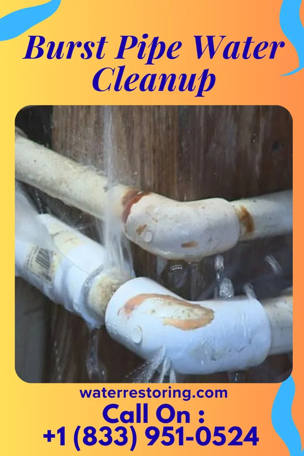 Burst Pipe Water Cleanup in Bluewell, WV