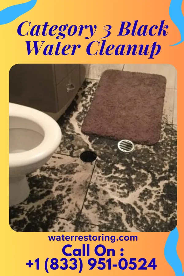 Category 3 Black Water Cleanup in Bluewell, WV