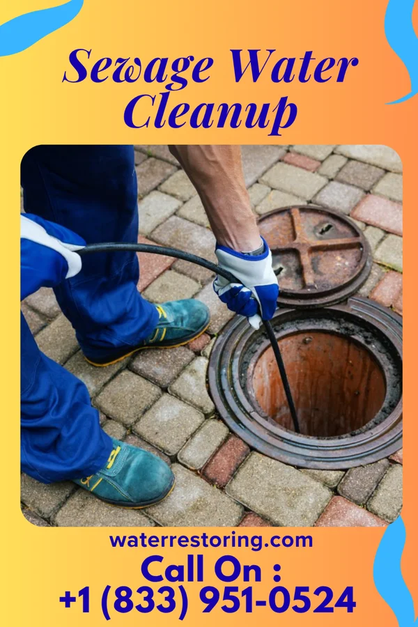 Sewage Water Cleanup in Bluewell, WV