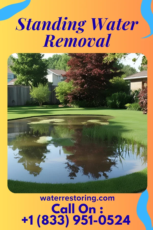 Standing Water Removal in Bluewell, WV